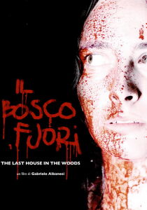 Il bosco fuori streaming