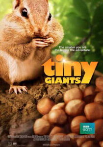 Tiny Giants [SUB-ITA] streaming