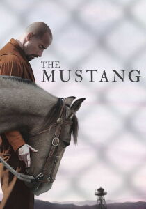 The Mustang streaming