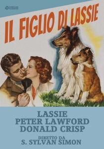 Il figlio di Lassie streaming