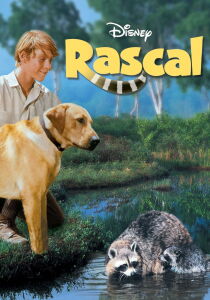 Rascal, l'orsetto lavatore streaming