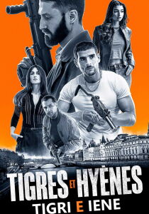 Tigri e iene - Tigres et Hyènes streaming